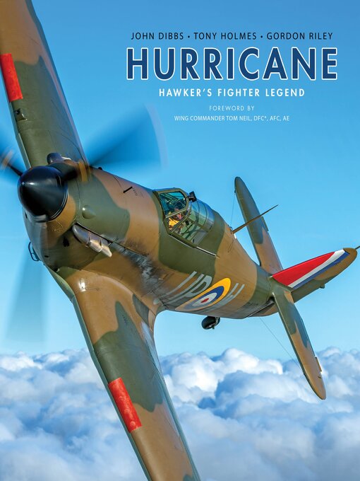 Title details for Hurricane by John Dibbs - Available